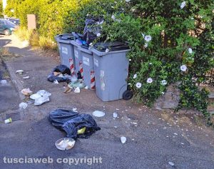 Incursioni cinghiali in via dei Monti Cimini
