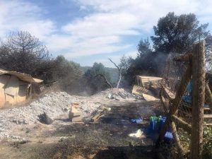 L'incendio divampato ieri pomeriggio nell'area della faggeta di Oriolo