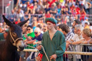 Il palio di Allumiere