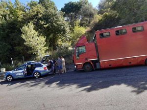 Polizia - Controllo trasporto animali vivi