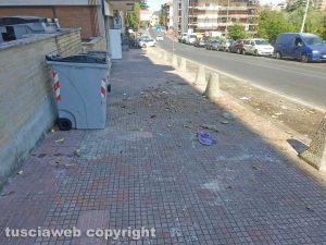 Immondizia in via Belluno