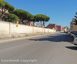 Civitavecchia - La mediana