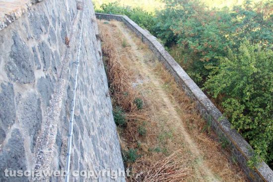 Una strada di Roccalvecce