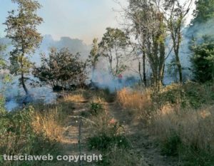Cellere - Incendio in località Monte Marano