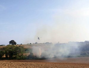 Tarquinia - Incendio di sterpaglie sull'Aurelia