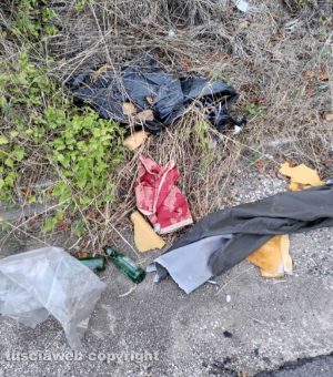 Vallerano - Rifiuti sulla strada provinciale
