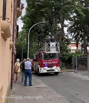 Tronco di albero staccato dal vento in via Lorenzo da Viterbo