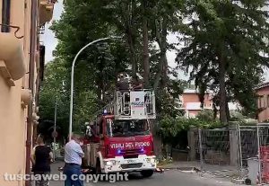 Tronco di albero staccato dal vento in via Lorenzo da Viterbo