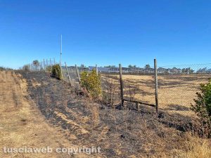 Cellere - Incendio in località Monte Marano