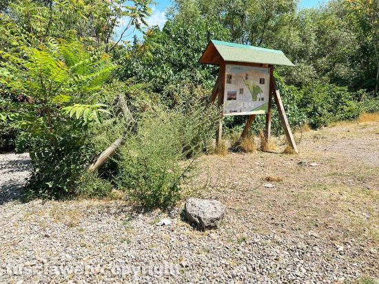 Viterbo - L'ingresso dell'Arcionello poco sopra via Genova