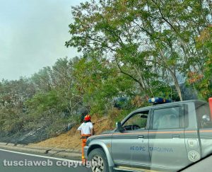 Tarquinia - Incendio di sterpaglie sull'Aurelia