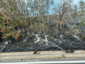 Tarquinia - Incendio di sterpaglie sull'Aurelia