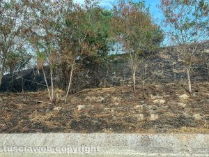 Tarquinia - Incendio di sterpaglie sull'Aurelia