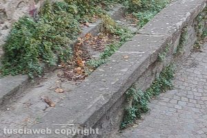 Viterbo - Incuria in via del Ganfione