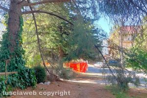 Viterbo - Incuria al parco dell'Aeronautica