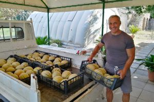 Tarquinia - Il lavoro alla Cittadella di Semi di pace
