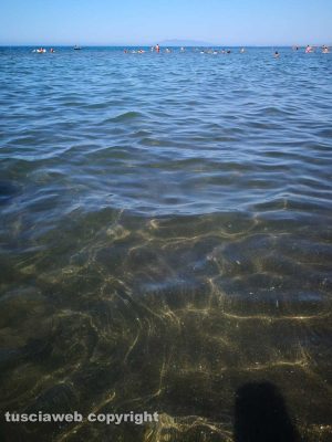 Il mare di Montalto di Castro