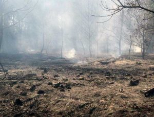 L'incendio divampato ieri pomeriggio nell'area della faggeta di Oriolo
