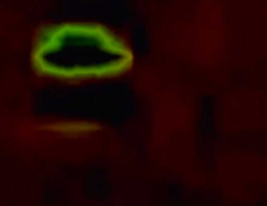 Ufo