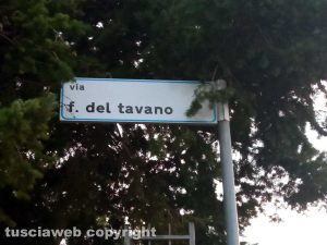 Via Fortunato del Tavano a Bagnaia