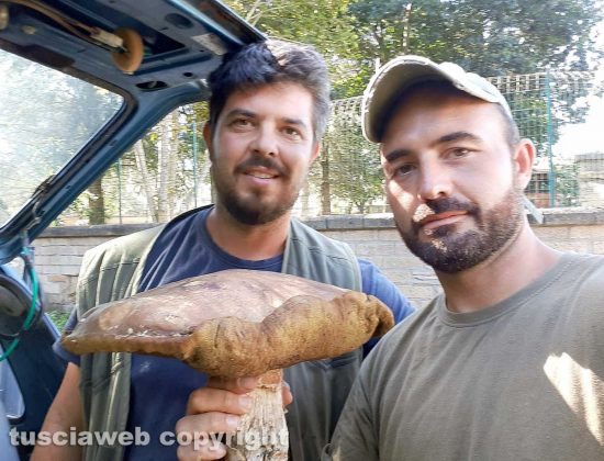 Viterbo - Trovato un porcino di oltre 2 chili