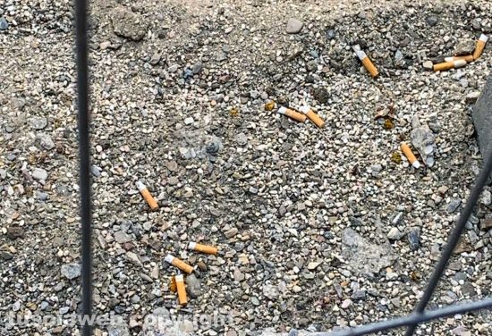 Viterbo - Rifiuti abbandonati in via Maria Santissima Liberatrice