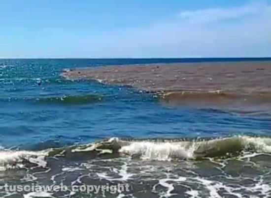 Tarquinia - Il fiume Marta si riversa nelle acque del mare