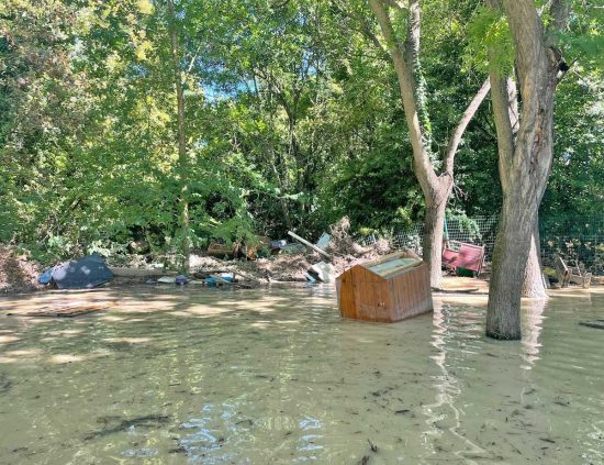Alluvione nelle Marche - Gli animali salvati