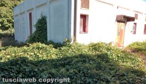 Vasanello - Centrale Telecom invasa dalle erbacce