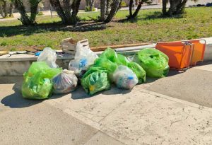 Civitavecchia - L’associazione Fare Verde pulisce spiagge e mare