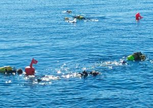 Civitavecchia - L’associazione Fare Verde pulisce spiagge e mare