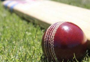 Cricket