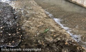 Viterbo - Perdita d’acqua su strada Mammagialla 