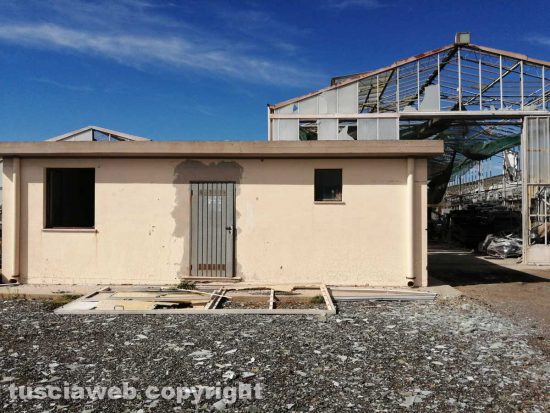 Civitavecchia - I danni della tromba d'aria sulle Serre Albani