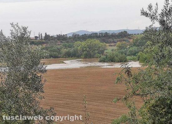 Maltempo a Montalto di Castro - Allarme per il livello del fiume Fiora