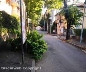 Erbacce in via Lorenzo da Viterbo