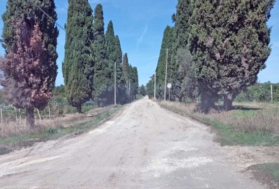 Montefiascone - Strada di campagna in località Commenda
