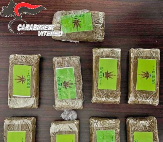 Carabinieri - La droga sequestrata
