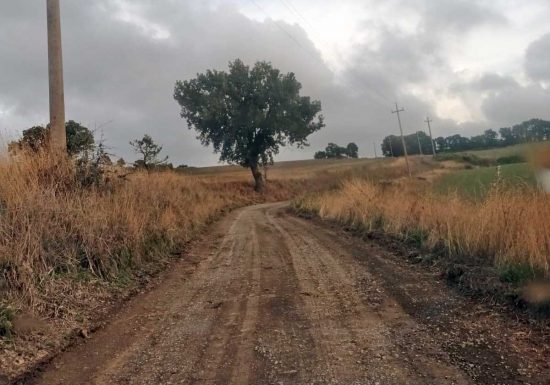 Montefiascone - Strada di campagna in località Lucrino