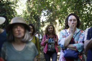 Passeggiata racconto nella Selva del Lamone