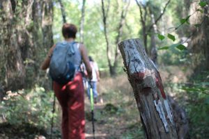 Passeggiata racconto nella Selva del Lamone