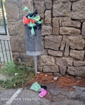 Viterbo - Deiezioni di cani in via Asiago