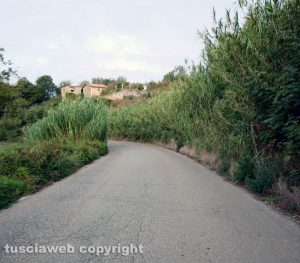 Caprarola - Strada provinciale 69