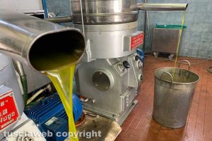 Olio di Tobia profumato appena lavorato