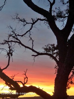 Tramonto