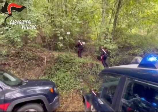 Ischia di Castro - Carabinieri - Droga nel bosco