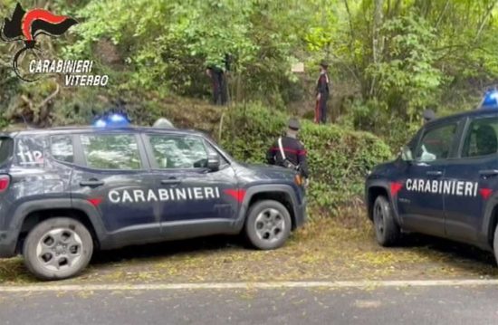 Ischia di Castro - Carabinieri - Droga nel bosco