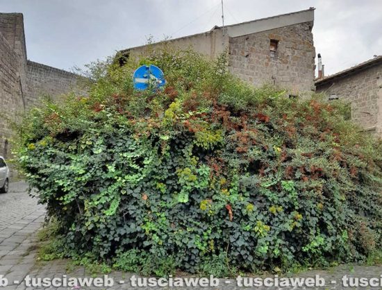Viterbo - Il cartello a via Sant'Andrea