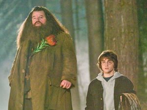 Una scena della saga Harry Potter con Robbie Coltrane nelle vesti di Hagrid