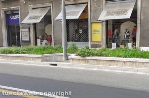 Viterbo - Erbacce nel centro storico